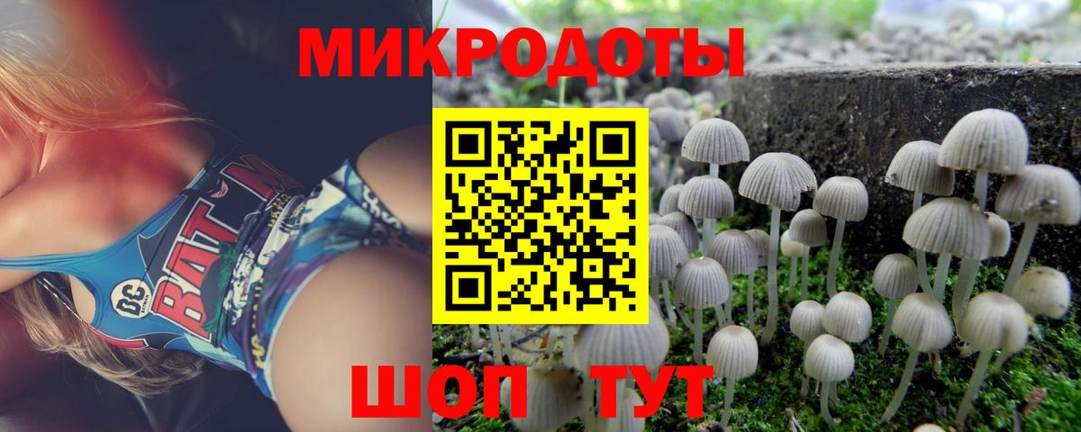 Псилоцибиновые грибы GOLDEN TEACHER  Вход с VPN  Галлюциногенные грибы Cubensis  Лабытнанги 